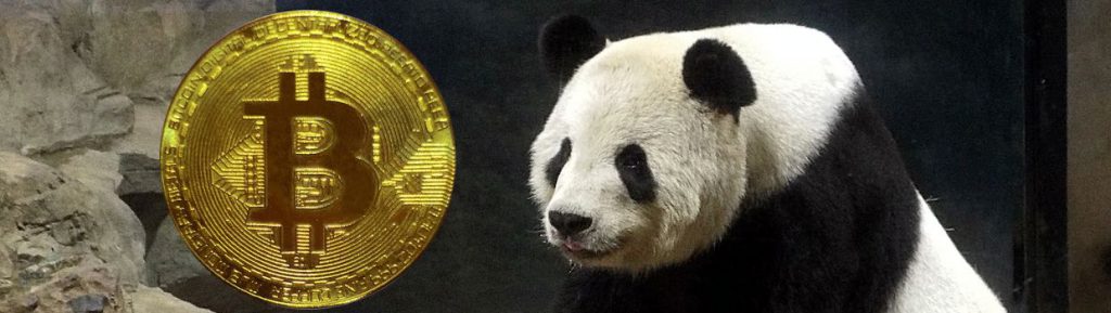 panda crypto coin