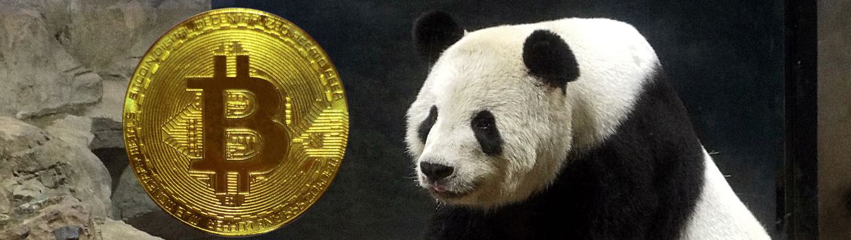 panda coins crypto